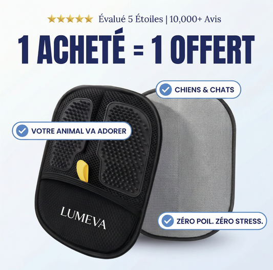 Lumeva Magic Glove